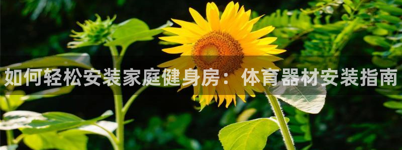 耀世娱乐挂机教程:如何轻松安装家庭健身房:体育器材安装指南