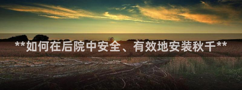 耀世出行:**如何在后院中安全、有效地安装秋千**