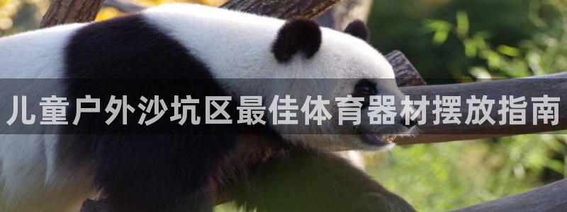 耀世登场下一句:儿童户外沙坑区最佳体育器材摆放指南